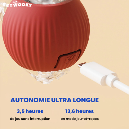 WookyBall™