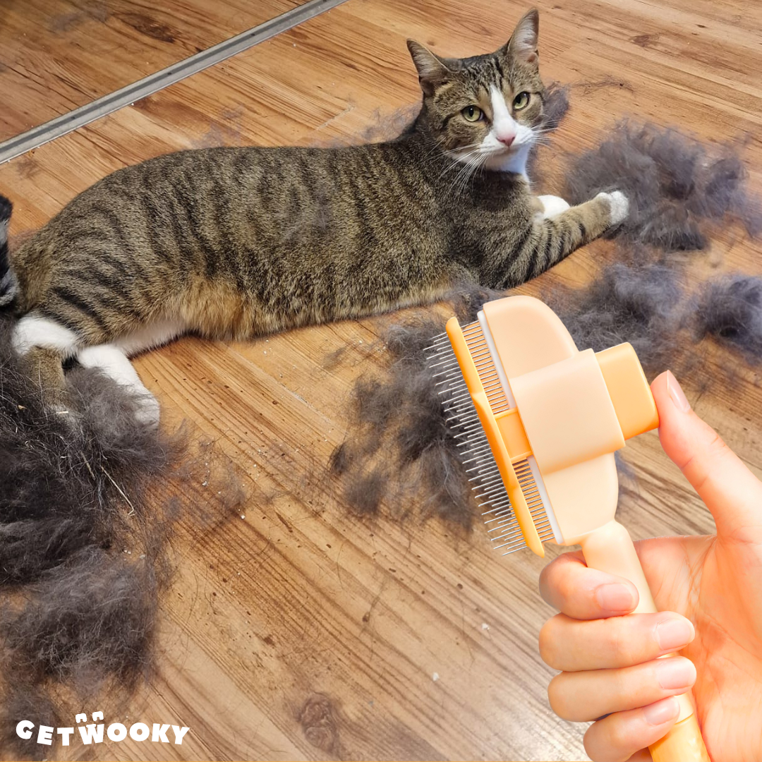 WookyFresh™