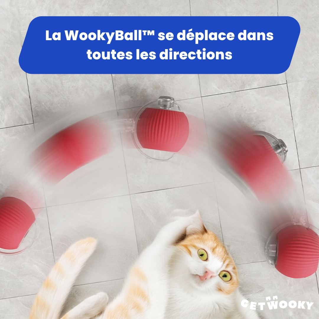 WookyBall™