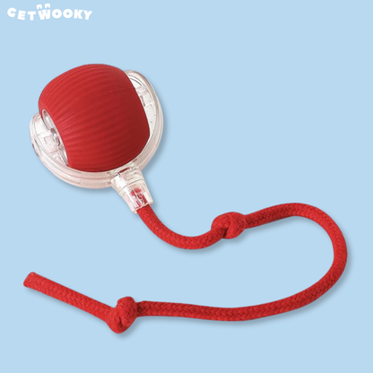 WookyBall™