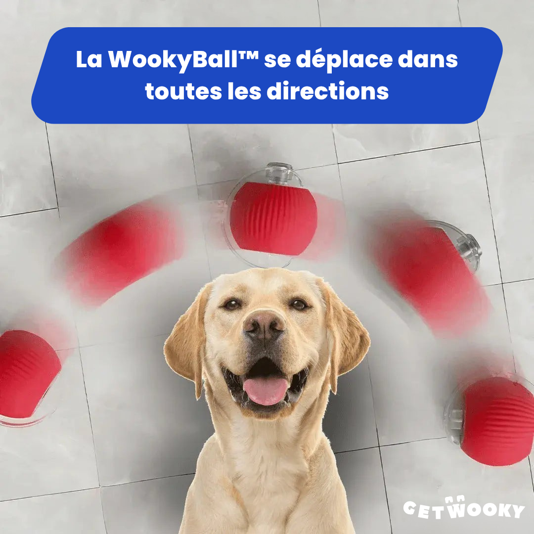 WookyBall™