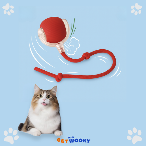 WookyBall™