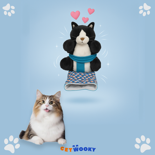 WookyCat™