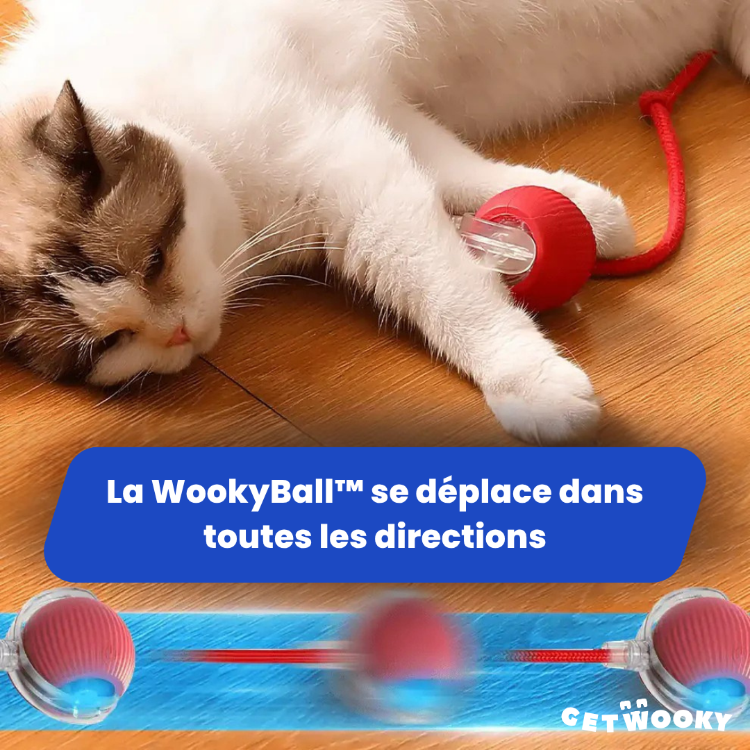 WookyBall™